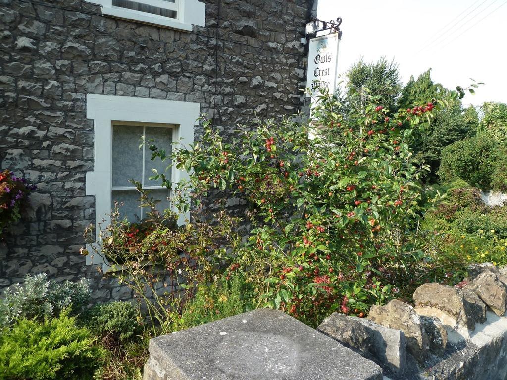 The Owls Crest House B&B Уэстон-сьюпер-Мэр Экстерьер фото