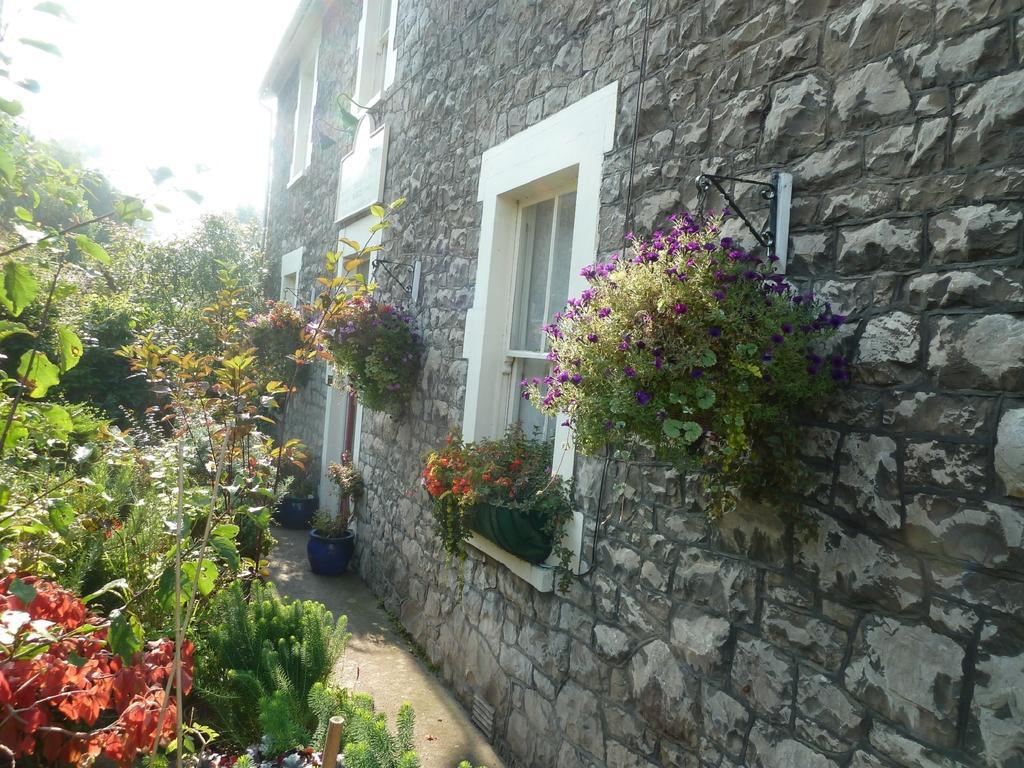 The Owls Crest House B&B Уэстон-сьюпер-Мэр Экстерьер фото